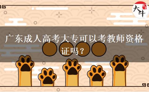 廣東成人高考大專可以考教師資格證嗎？
