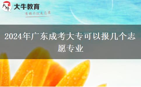 2024年廣東成考大?？梢詧髱讉€志愿專業(yè)