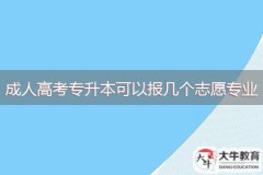 2024年廣東成人高考專升本可以報幾個志愿專業(yè)