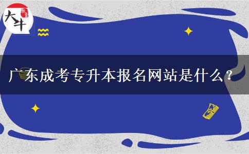 廣東成考專升本報(bào)名網(wǎng)站是什么？