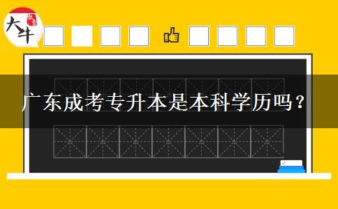 廣東成考專升本是本科學歷嗎？