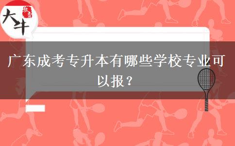 廣東成考專升本有哪些學(xué)校專業(yè)可以報(bào)？