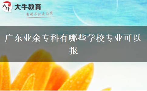 廣東業(yè)余?？朴心男W(xué)校專業(yè)可以報(bào)