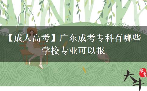 廣東成考?？朴心男W(xué)校專業(yè)可以