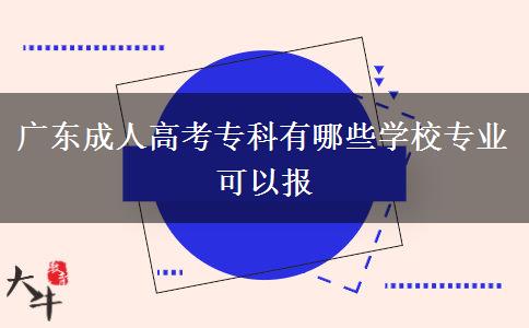 廣東成人高考?？朴心男W(xué)校專業(yè)可以報(bào)
