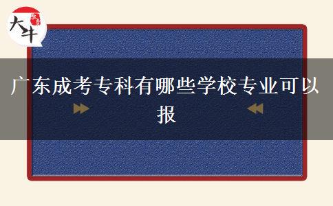 廣東成考?？朴心男W(xué)校專業(yè)可以報