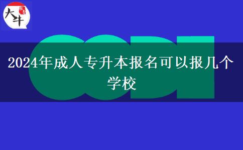2024年成人專升本報名可以報幾個學校