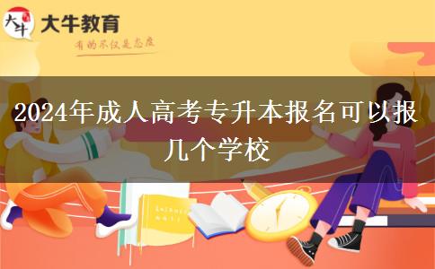 2024年成人高考專(zhuān)升本報(bào)名可以報(bào)幾個(gè)學(xué)校