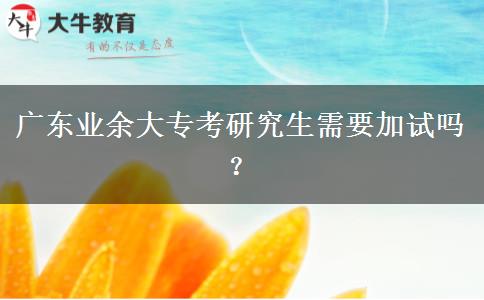 廣東業(yè)余大專考研究生需要加試嗎？