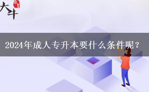 2024年成人專升本要什么條件呢？