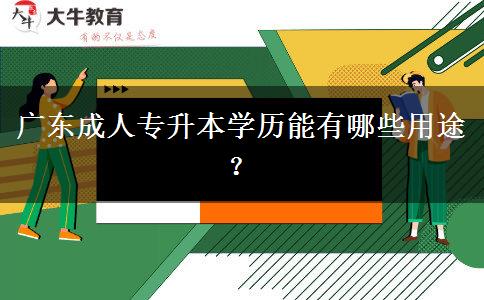 廣東成人專升本學(xué)歷能有哪些用。</div>
                    <div   class=