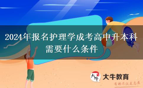 2024年報(bào)名護(hù)理學(xué)成考高中升本科需。</div>
                    <div   class=