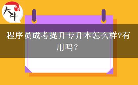 程序員成考提升專升本怎么樣?有用嗎？