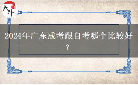 2024年廣東成考跟自考哪個(gè)比較好？