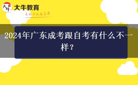 2024年廣東成考跟自考有什么不一樣？