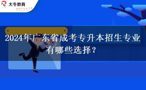 2024年廣東省成考專升本招生專業(yè)有哪些選擇？