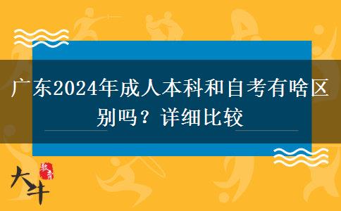 廣東2024年成人本科和自考有啥區(qū)別嗎？詳細(xì)比較