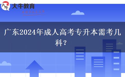廣東2024年成人高考專升本需考幾科？