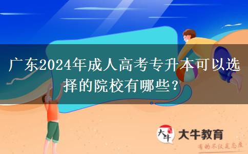 廣東2024年成人高考專(zhuān)升本可以選擇的院校有哪些？