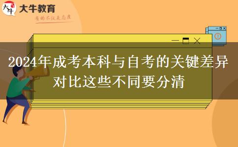 2024年成考本科與自考的關鍵差異對比這些不同要分清
