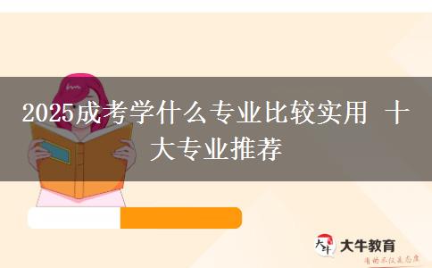 2025成考學(xué)什么專業(yè)比較實(shí)用 十大專業(yè)推薦