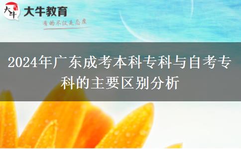 2024年廣東成考本科?？婆c自考專科的主要區(qū)別分析