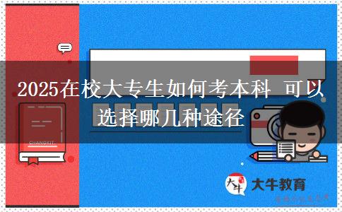 2025在校大專(zhuān)生如何考本科 可以選擇哪幾種途徑