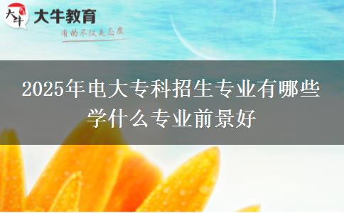 2025年電大?？普猩鷮I(yè)有哪些 學(xué)什么專業(yè)前景好