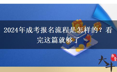2024年成考報名流程是怎樣的？看完這篇就夠了