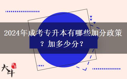 2024年成考專升本有哪些加分政策？加多少分？