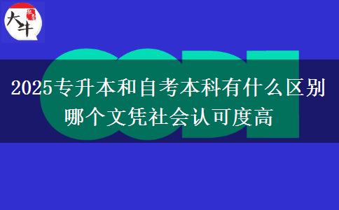 2025專升本和自考本科有什么區(qū)別 哪個文憑社會認可度高