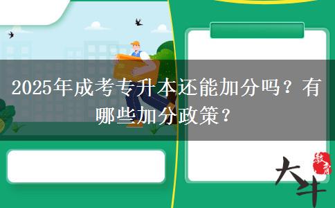 2025年成考專升本還能加分嗎？有哪些加分政策？
