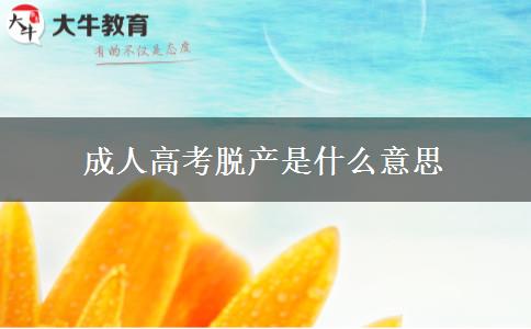 成人高考脫產是什么意思