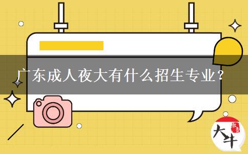 廣東成人夜大有什么招生專業(yè)？