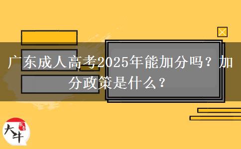 廣東成人高考2025年能加分嗎？加分政策是什么？