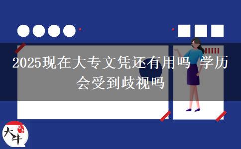 2025現(xiàn)在大專(zhuān)文憑還有用嗎 學(xué)歷會(huì)受到歧視嗎 2025現(xiàn)在大專(zhuān)文憑還有用嗎 學(xué)歷會(huì)受到歧視嗎