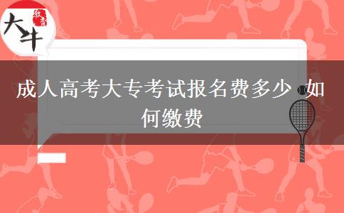 成人高考大?？荚噲竺M多少 如何繳費