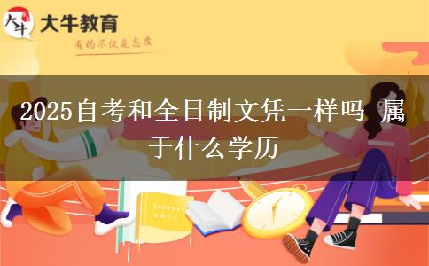 2025自考和全日制文憑一樣嗎 屬于什么學(xué)歷
