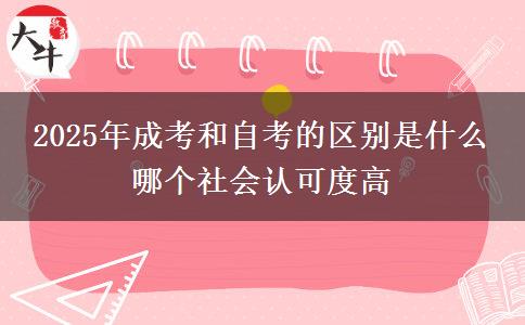 2025年成考和自考的區(qū)別是什么 哪個社會認可度高