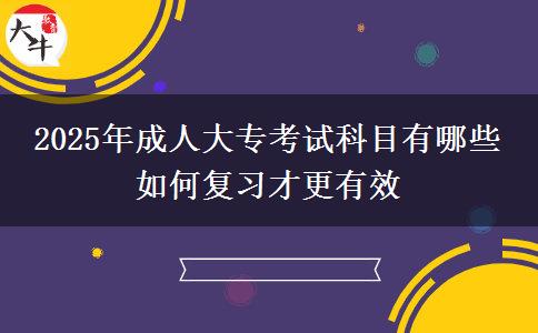 2025年成人大專(zhuān)考試科目有哪些 如何復(fù)習(xí)才更有效