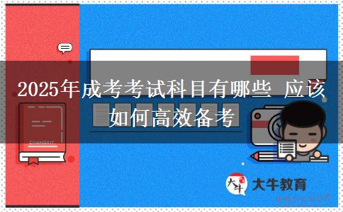 2025年成考考試科目有哪些 應(yīng)該如何高效備考
