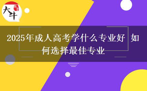 2025年成人高考學(xué)什么專業(yè)好 如何選擇最佳專業(yè)