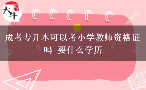 成考專升本可以考小學(xué)教師資格證嗎 要什么學(xué)歷