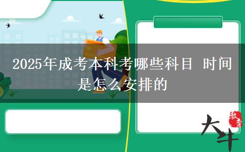 2025年成考本科考哪些科目 時間是怎么安排的