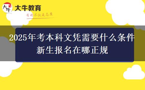 2025年考本科文憑需要什么條件 新生報名在哪正規(guī)