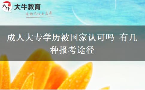 成人大專(zhuān)學(xué)歷被國(guó)家認(rèn)可嗎 有幾種報(bào)考途徑