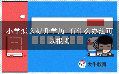 小學怎么提升學歷 有什么辦法可以報考
