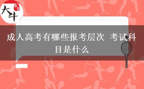 成人高考有哪些報(bào)考層次 考試科目是什么