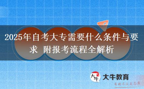 2025年自考大專(zhuān)需要什么條件與要求 附報(bào)考流程全解析