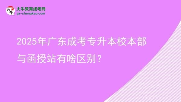 2025年廣東成考專升本校本部與函授站有啥區(qū)別？圖片